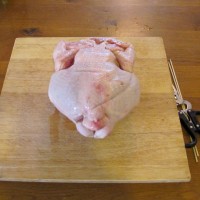Spatchcock-chicken-prep