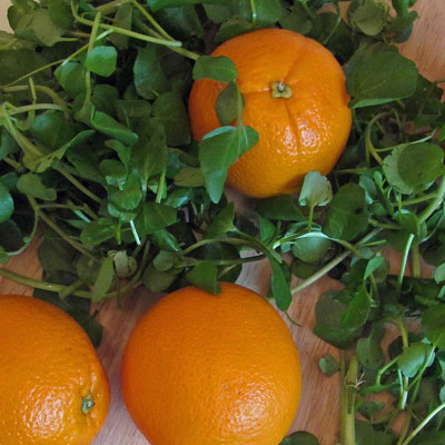 Orange-and-watercress2