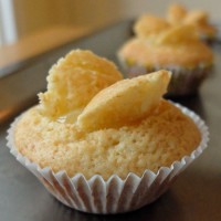 Lemon-Curd-Cupcakes